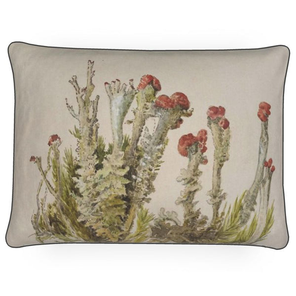 Beatrix Potter Fungi Cushion