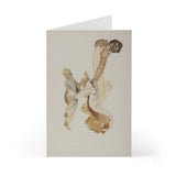 Lepiota Friesi - Beatrix Potter Cards (Pack of 7)
