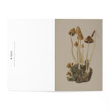 Psathyrella Coropilus - Beatrix Potter Cards (Pack of 7)