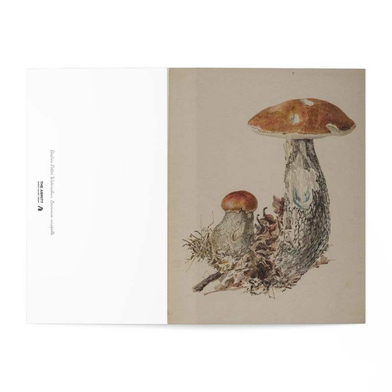 Leccinum Versipelle - Beatrix Potter Cards (Pack of 7)